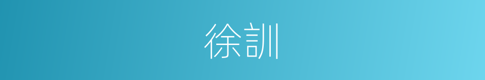 徐訓的同義詞