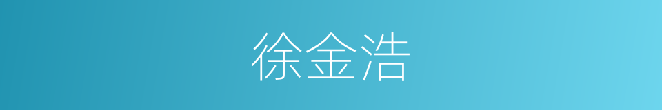 徐金浩的同义词