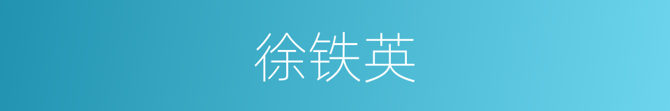 徐铁英的同义词