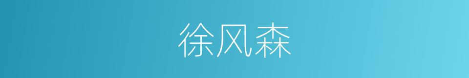 徐风森的同义词