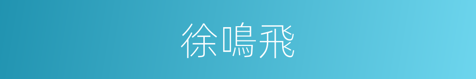 徐鳴飛的同義詞