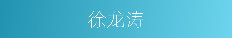 徐龙涛的同义词