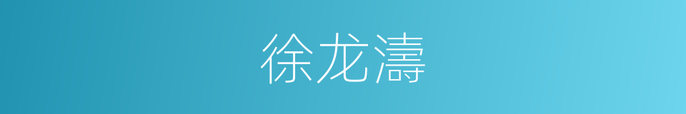 徐龙濤的同義詞