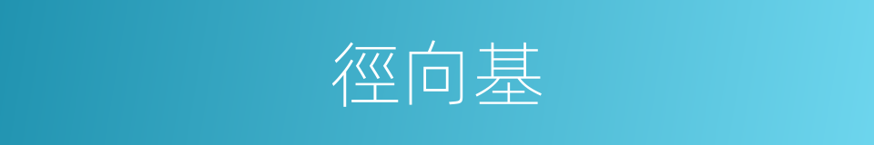 徑向基的同義詞