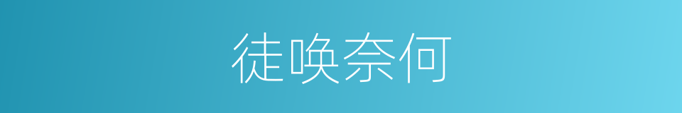 徒唤奈何的意思