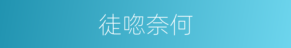 徒唿奈何的意思