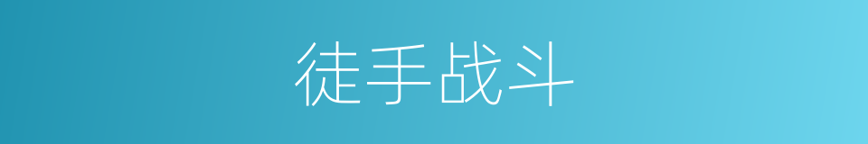 徒手战斗的同义词
