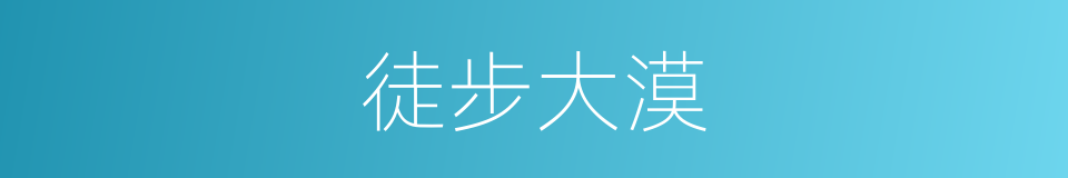 徒步大漠的同义词