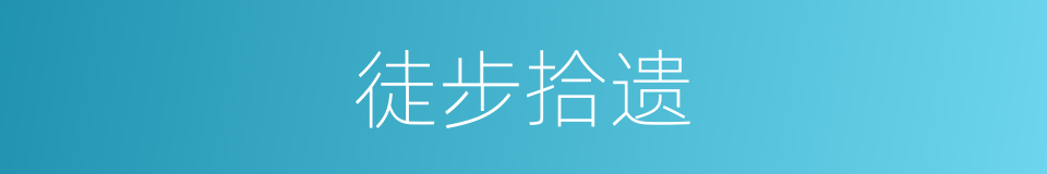 徒步拾遗的意思
