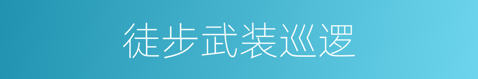 徒步武装巡逻的同义词