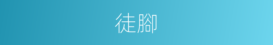 徒腳的同義詞