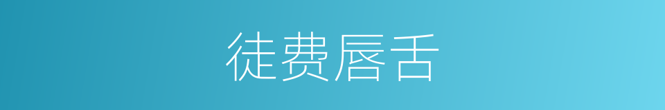 徒费唇舌的意思