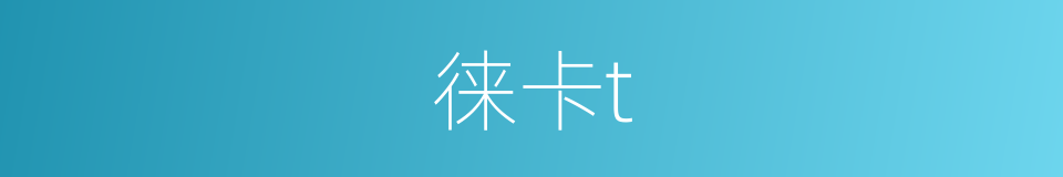徕卡t的同义词