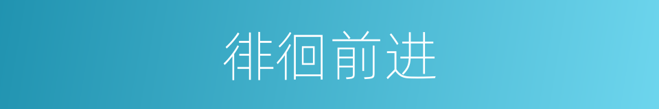 徘徊前进的同义词