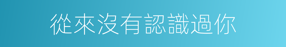 從來沒有認識過你的同義詞