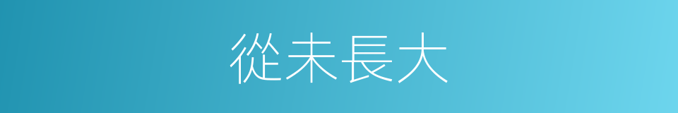 從未長大的同義詞