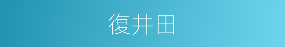 復井田的同義詞