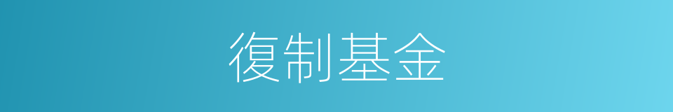 復制基金的同義詞