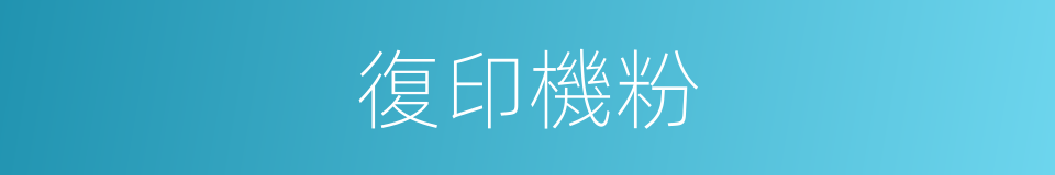 復印機粉的同義詞