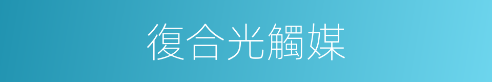 復合光觸媒的同義詞