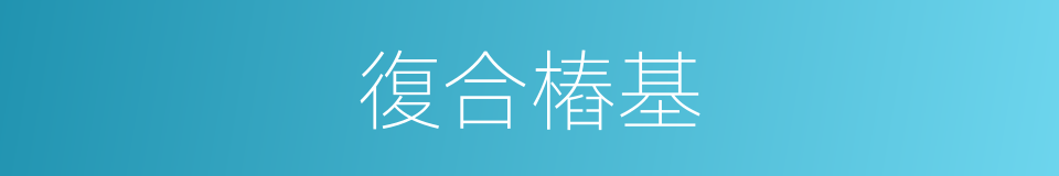 復合樁基的意思