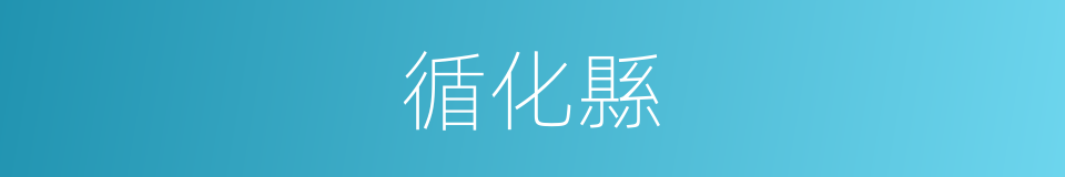 循化縣的同義詞