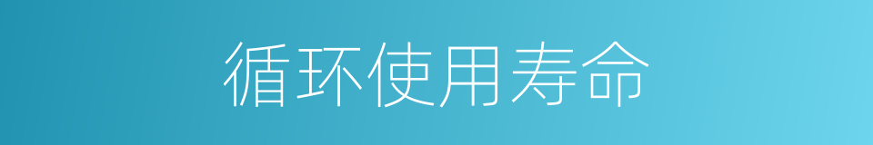 循环使用寿命的同义词