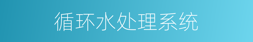 循环水处理系统的同义词