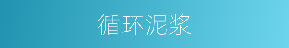 循环泥浆的同义词