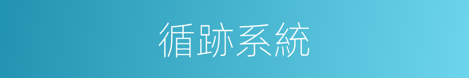 循跡系統的同義詞