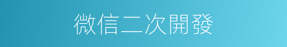 微信二次開發的同義詞