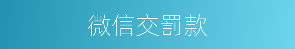 微信交罰款的同義詞