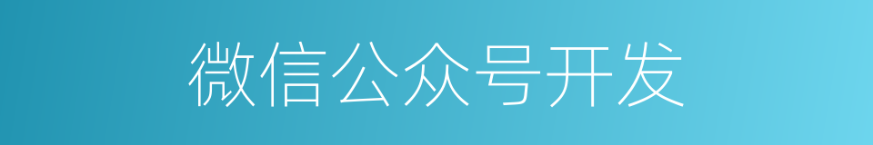 微信公众号开发的同义词