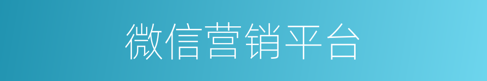 微信营销平台的同义词