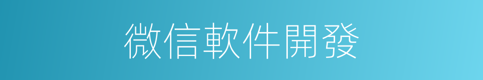 微信軟件開發的同義詞