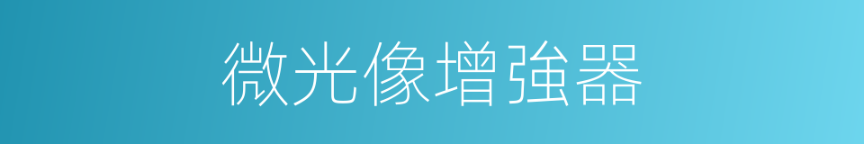 微光像增強器的同義詞