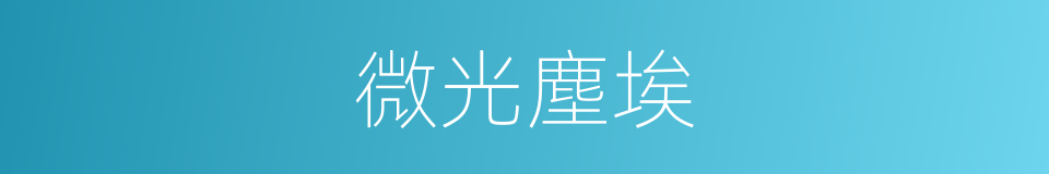 微光塵埃的同義詞