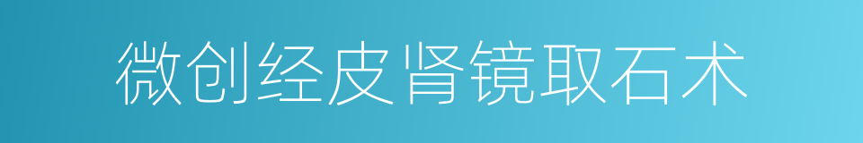 微创经皮肾镜取石术的同义词