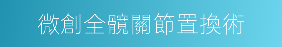 微創全髖關節置換術的同義詞