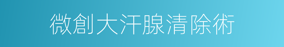 微創大汗腺清除術的同義詞