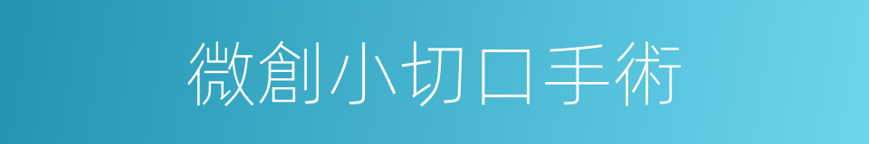 微創小切口手術的同義詞
