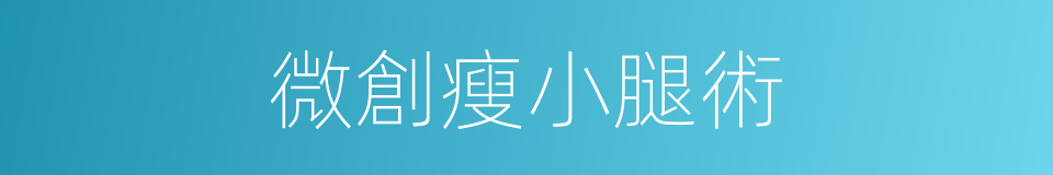 微創瘦小腿術的同義詞