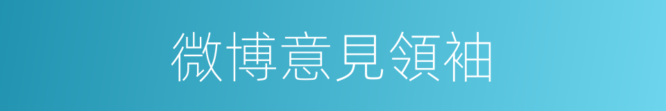 微博意見領袖的同義詞