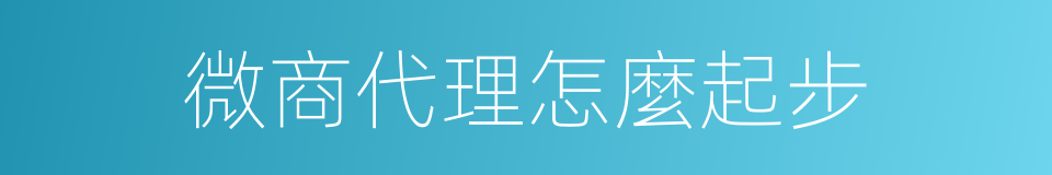 微商代理怎麼起步的同義詞