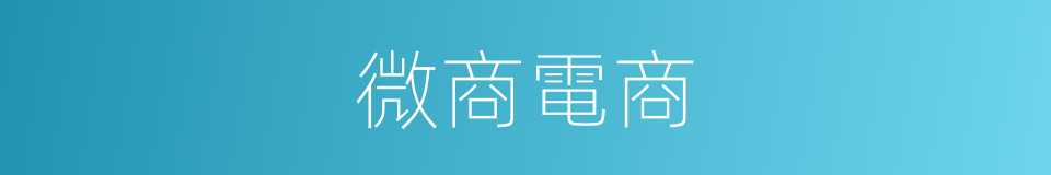 微商電商的同義詞