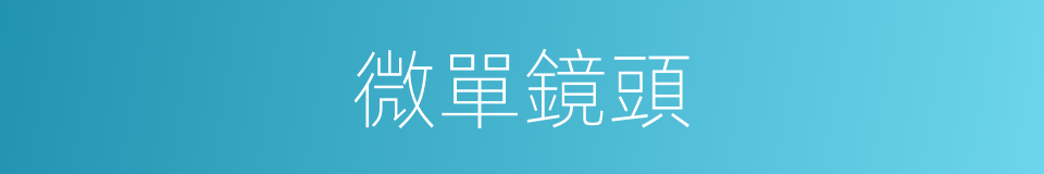 微單鏡頭的同義詞