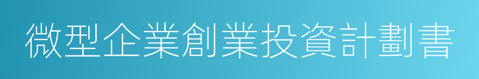 微型企業創業投資計劃書的同義詞