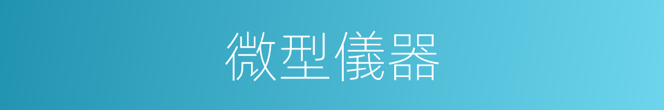 微型儀器的同義詞
