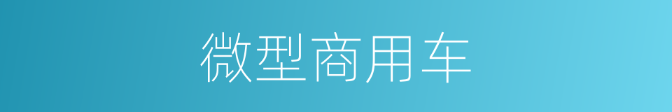 微型商用车的同义词