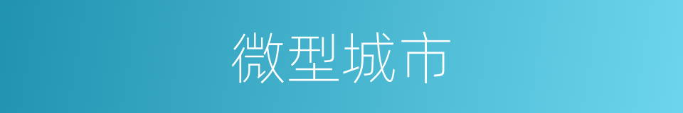 微型城市的同义词